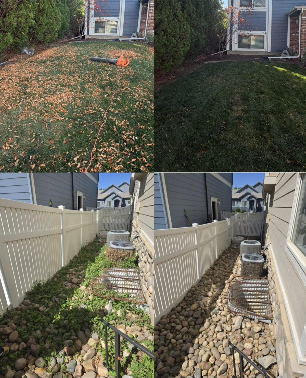 Yard Clean-up